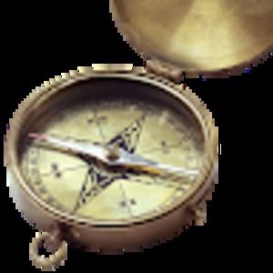 Meet your Posher, Tamar